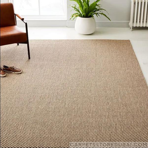 Area Rug